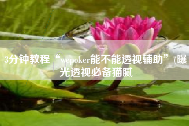 3分钟教程“wepoker能不能透视辅助”(曝光透视必备猫腻