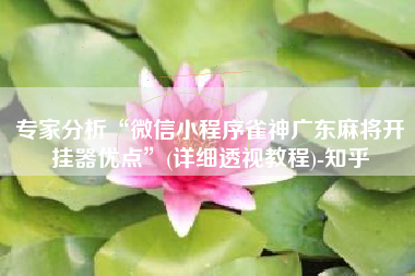 专家分析“微信小程序雀神广东麻将开挂器优点	”(详细透视教程)-知乎