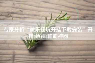 专家分析“微乐挖坑开挂下载安装”开挂(透视)辅助神器