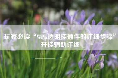 玩家必读“WPK透明挂插件的详细步骤	”开挂辅助详细