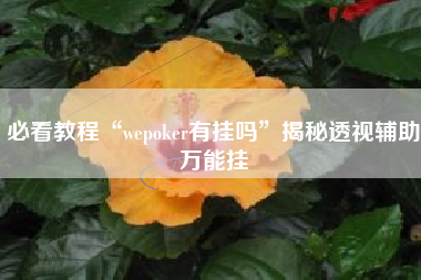 必看教程“wepoker有挂吗	”揭秘透视辅助万能挂