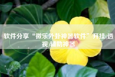 软件分享“微乐外卦神器软件	”开挂(透视)辅助神器