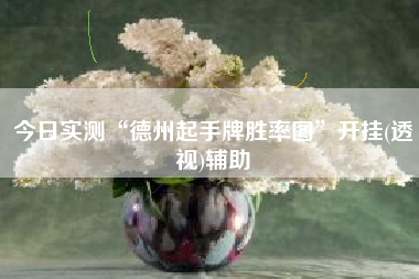 今日实测“德州起手牌胜率图	”开挂(透视)辅助