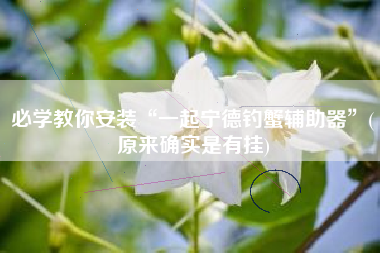 必学教你安装“一起宁德钓蟹辅助器”(原来确实是有挂)