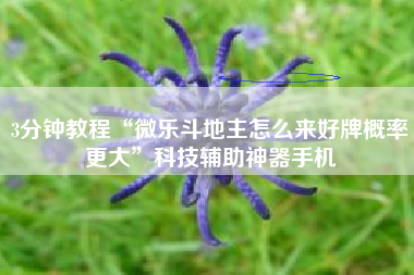 3分钟教程“微乐斗地主怎么来好牌概率更大”科技辅助神器手机