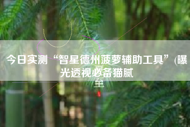 今日实测“智星德州菠萝辅助工具	”(曝光透视必备猫腻