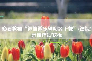 必看教程“微信微乐辅助器下载”(透视)开挂详细教程