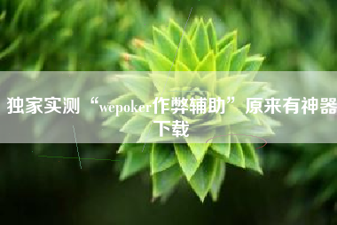 独家实测“wepoker作弊辅助	”原来有神器下载