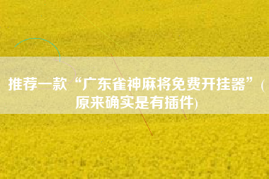 推荐一款“广东雀神麻将免费开挂器”(原来确实是有插件)