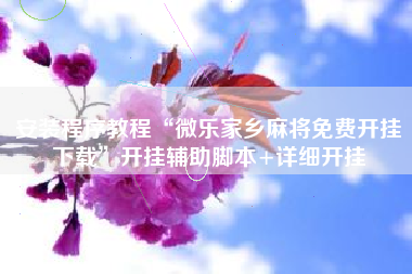 安装程序教程“微乐家乡麻将免费开挂下载”开挂辅助脚本+详细开挂