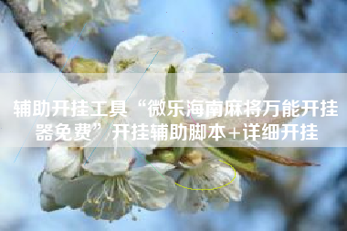 辅助开挂工具“微乐海南麻将万能开挂器免费”开挂辅助脚本+详细开挂