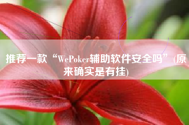 推荐一款“WePoker辅助软件安全吗	”(原来确实是有挂)