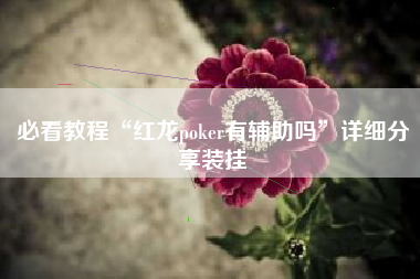 必看教程“红龙poker有辅助吗”详细分享装挂