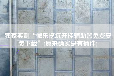 独家实测“微乐挖坑开挂辅助器免费安装下载”(原来确实是有插件)