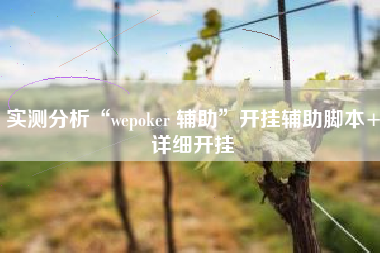 实测分析“wepoker 辅助”开挂辅助脚本+详细开挂